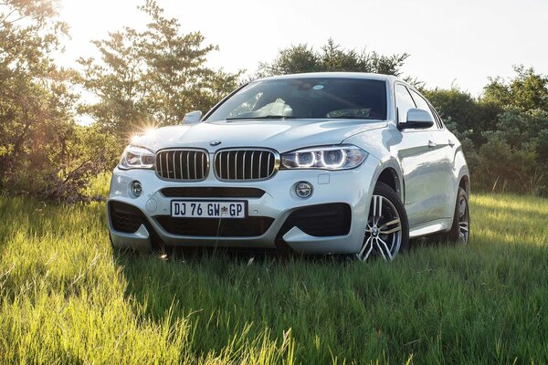 Weißer BMW vorn mit eingeschalteten Scheinwerfern auf dem Rasen