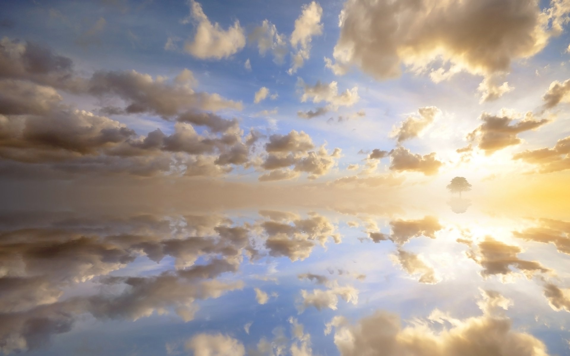 clouds the sky the sun reflections reflection sunset horizon tree