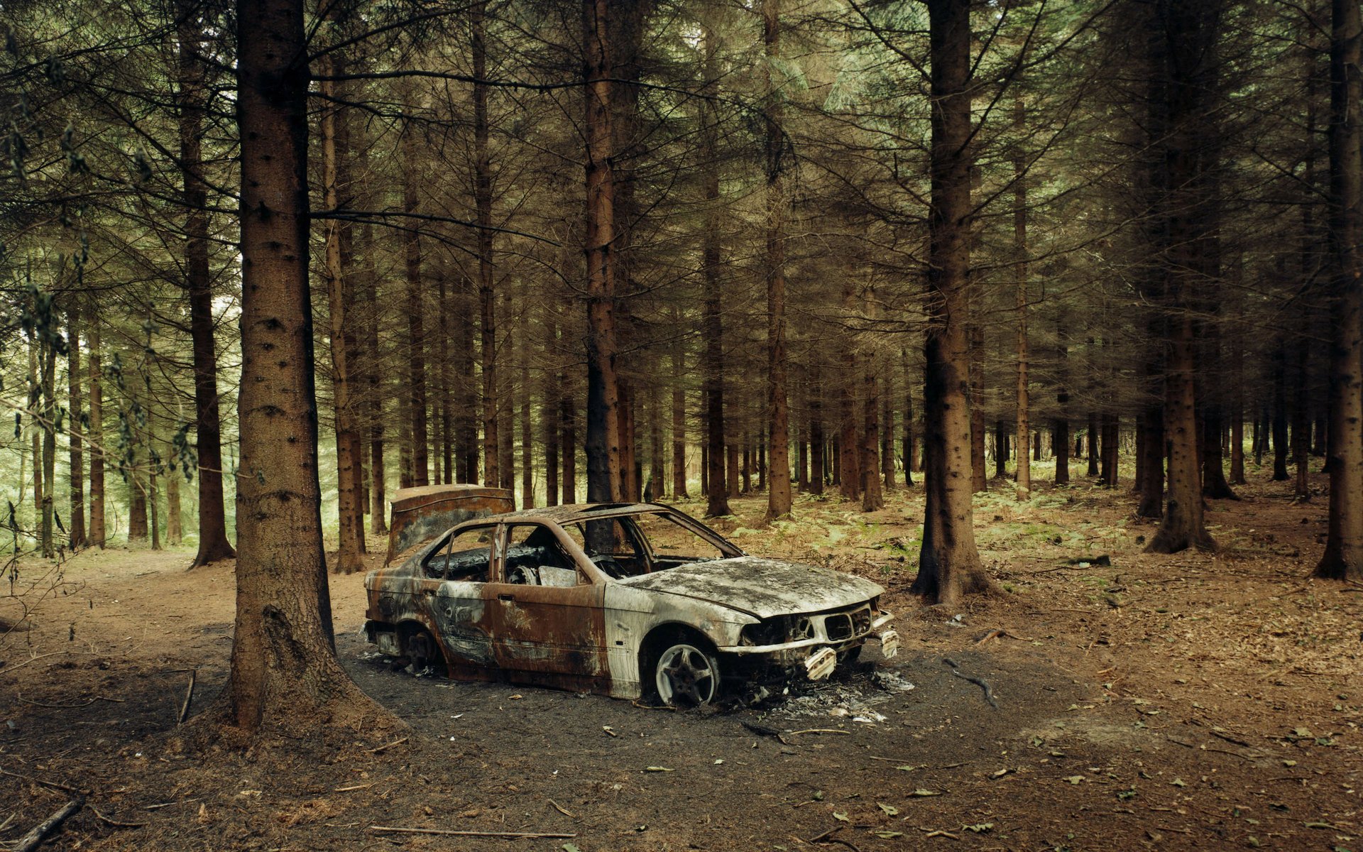 forêt voiture feu bmw squelette terre auto métal arbres véhicules