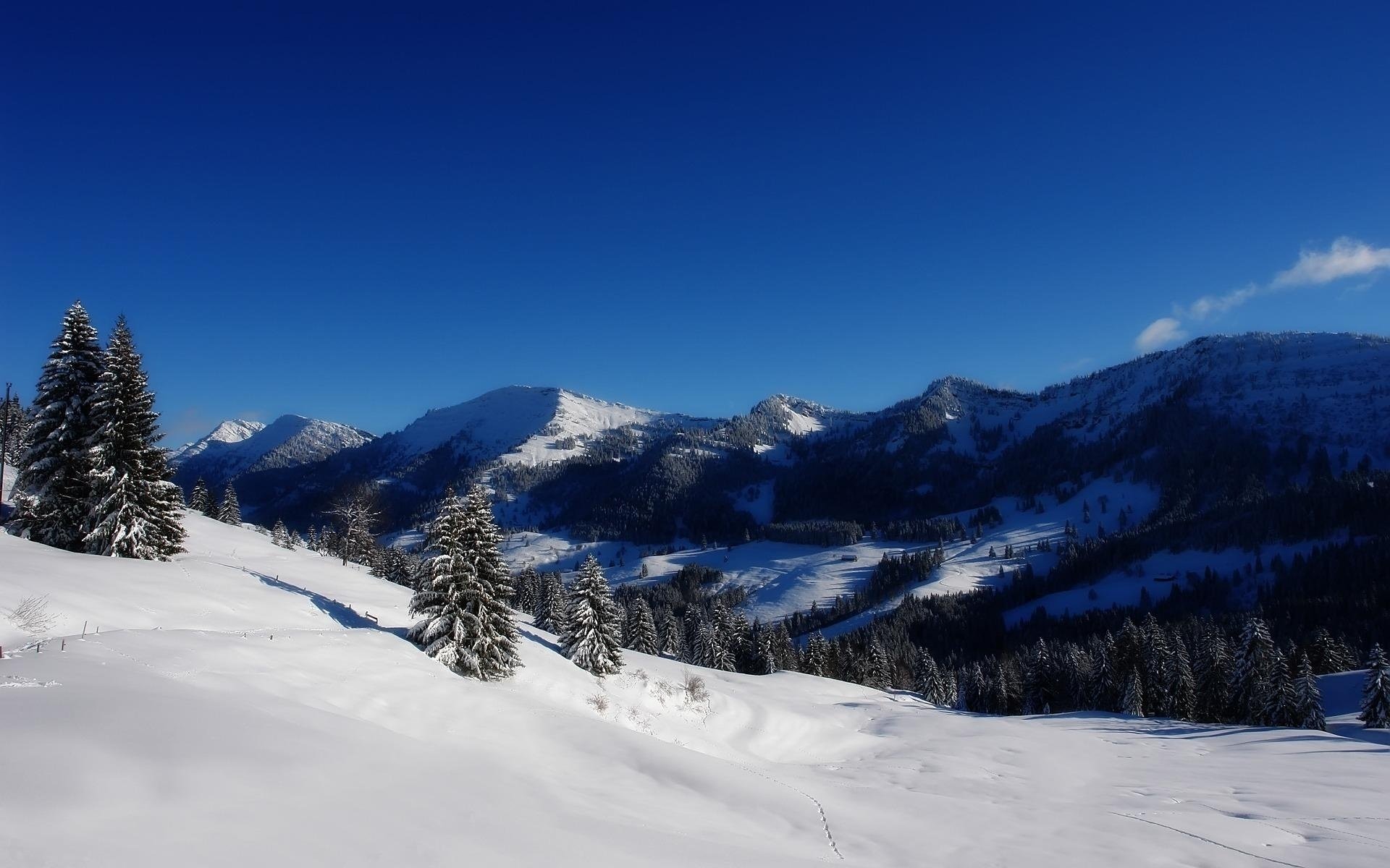 alpy góry śnieg zima widok choinki horyzont