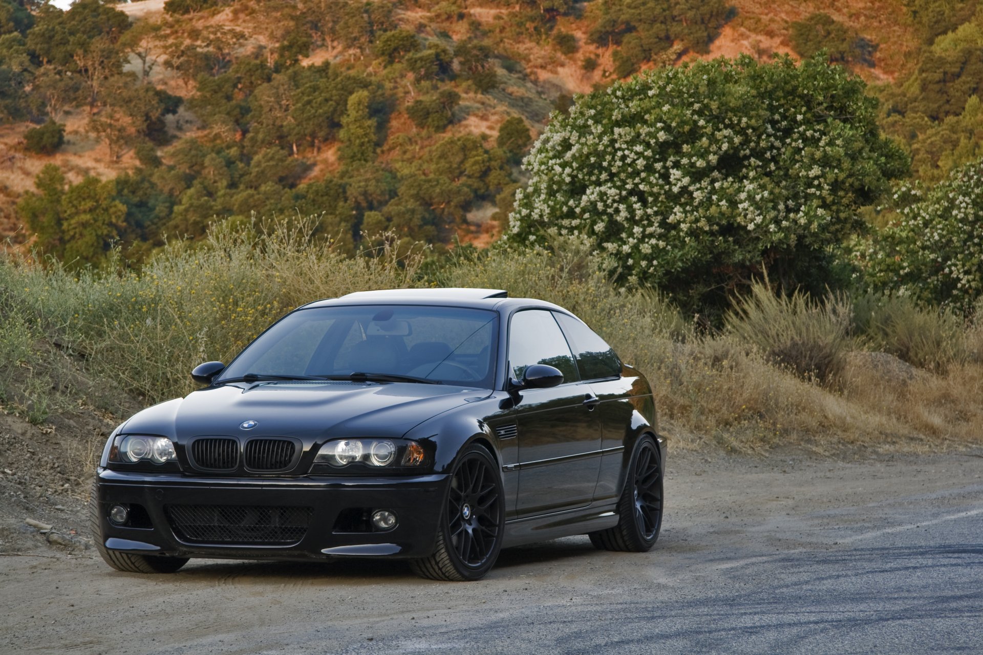 bmw m3 e46 black bmw reflection road trees slope