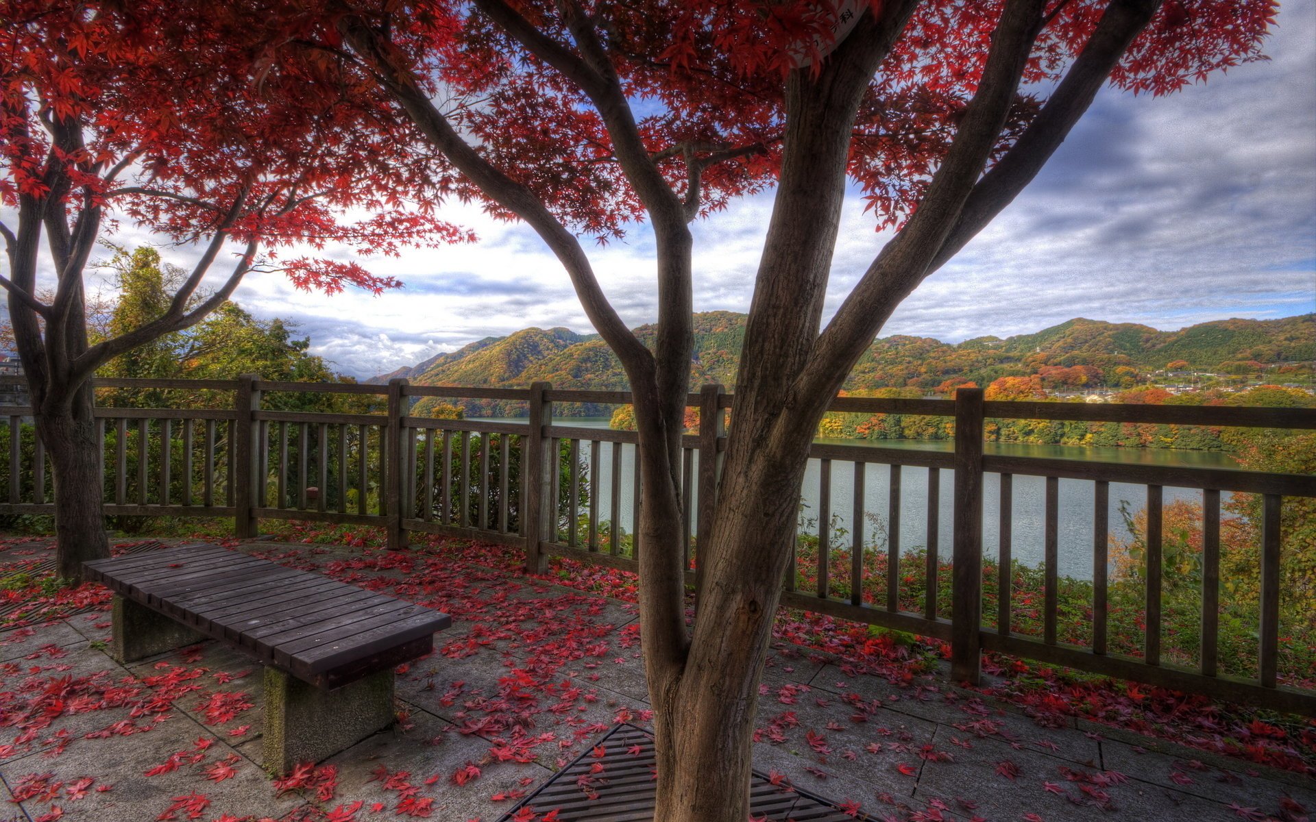 mountains lake foliage bench tree railings autumn