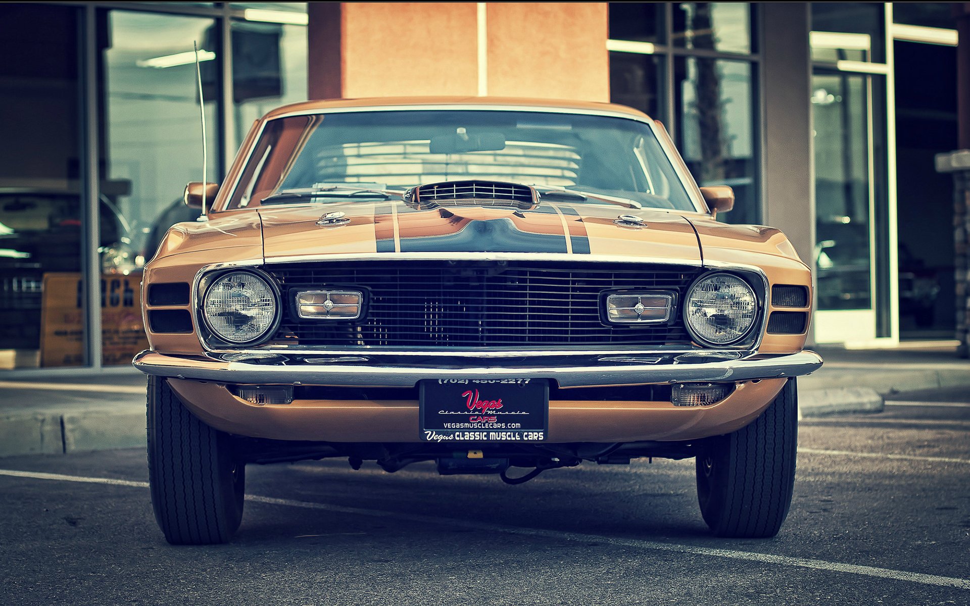 ford mustang mach 1 jahrgang klassisch