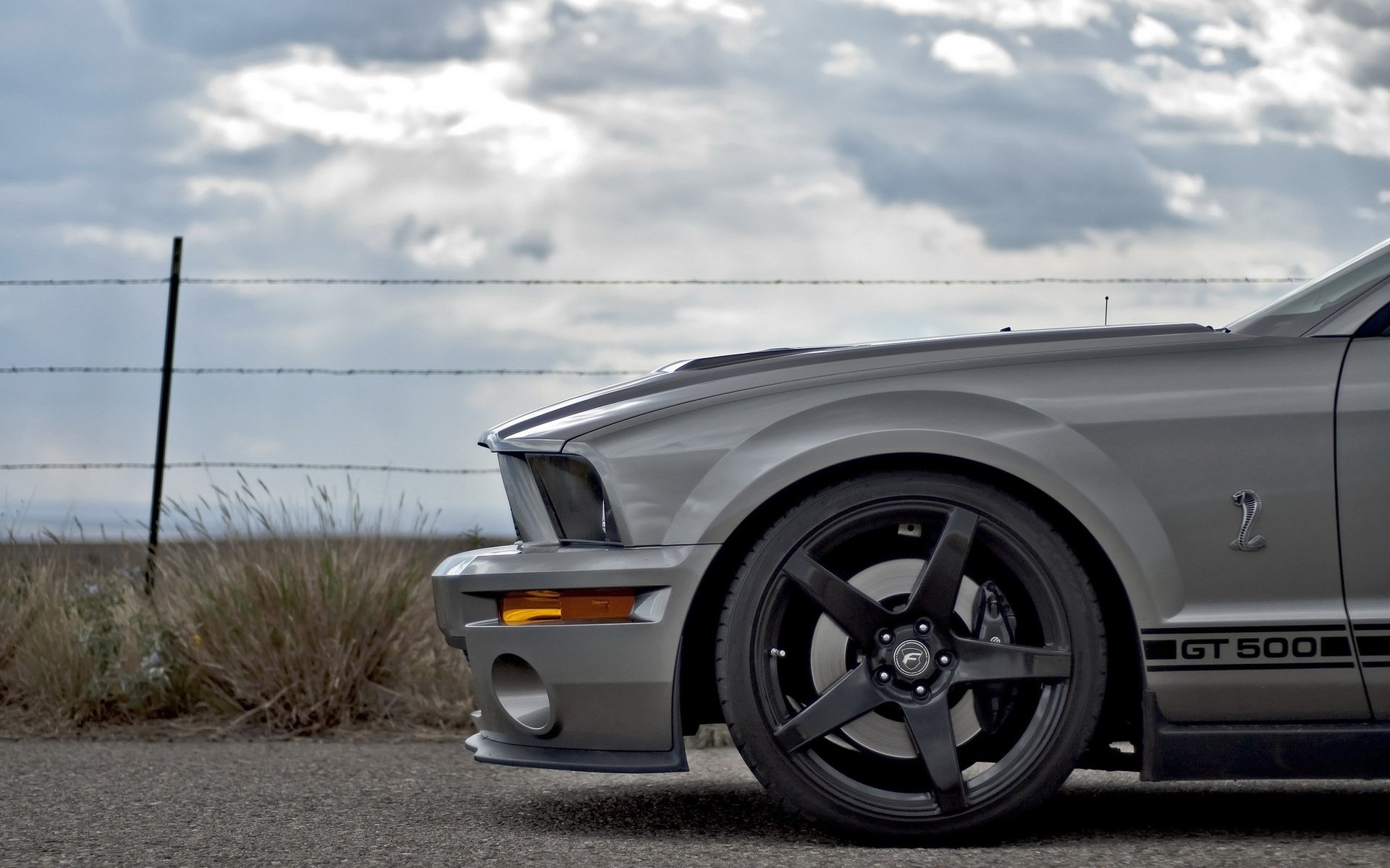 voiture route ford mustang gt 500