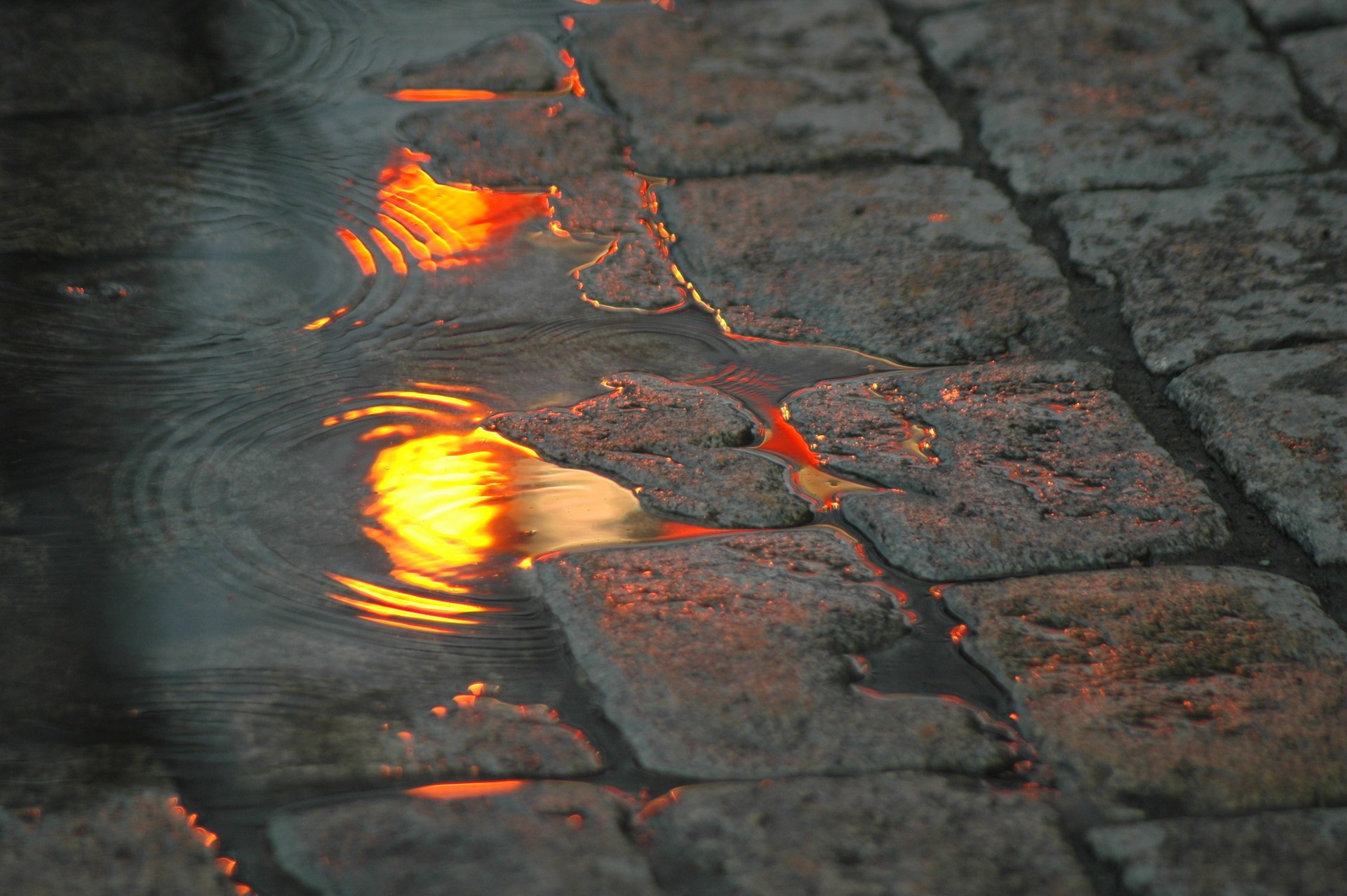 flaque d eau rue réflexion lumières pavés eau pierres lumières de la ville