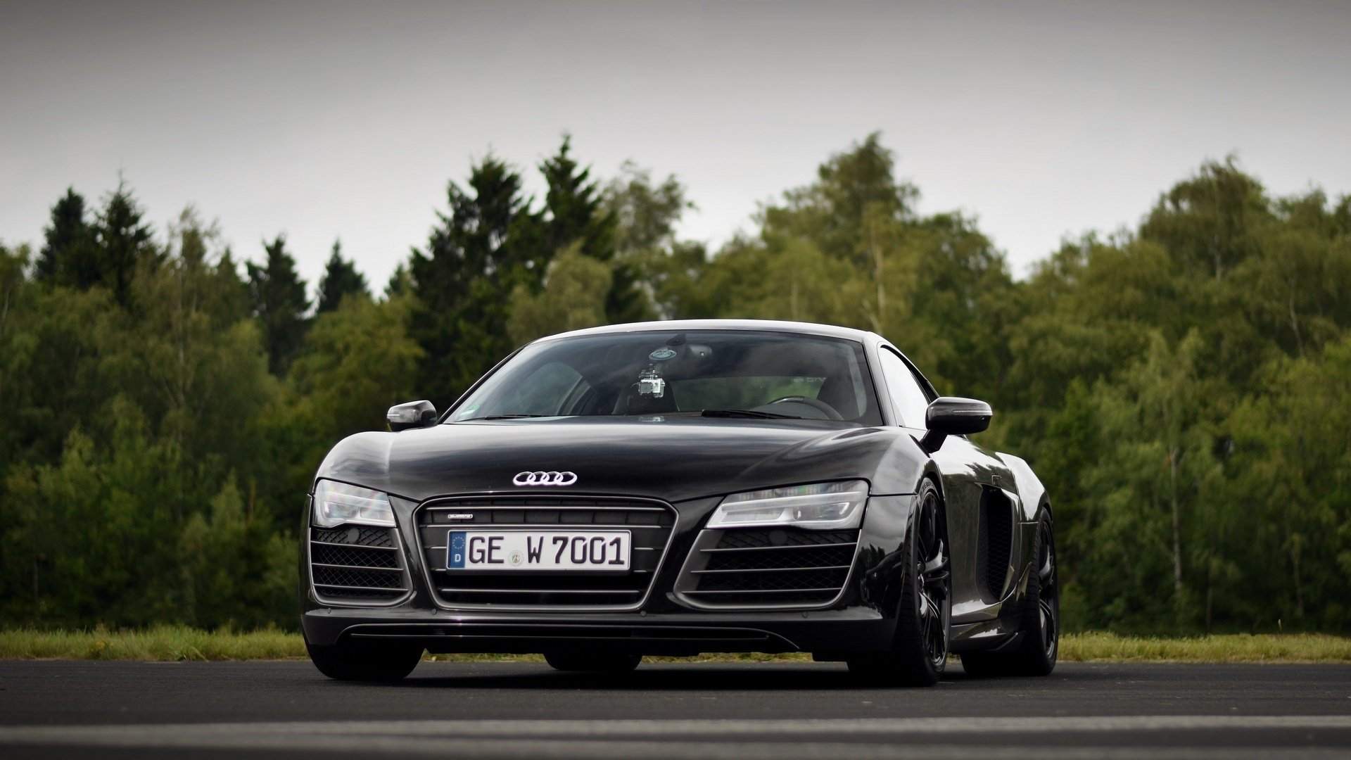 bäume straße auto audi r8 v10