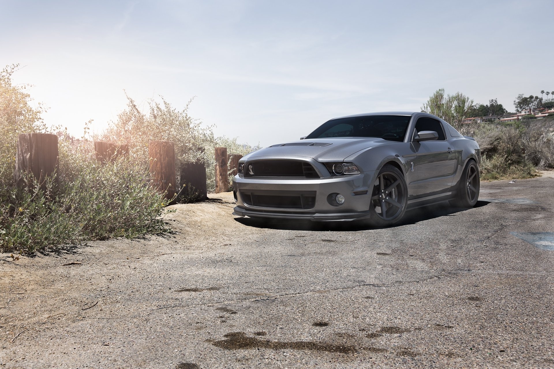 ford mustang gt500 shelby grigio colorato vista frontale cielo