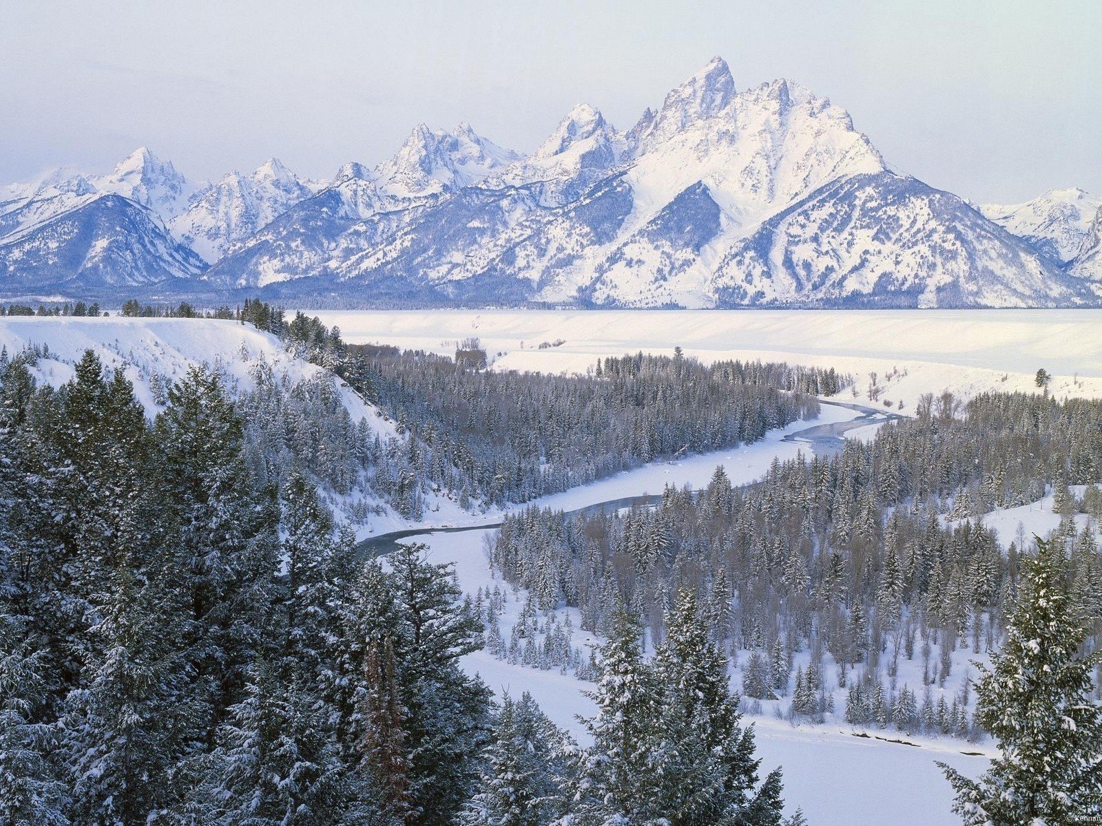 inverno montagne alberi di natale neve vista fiume foto foresta