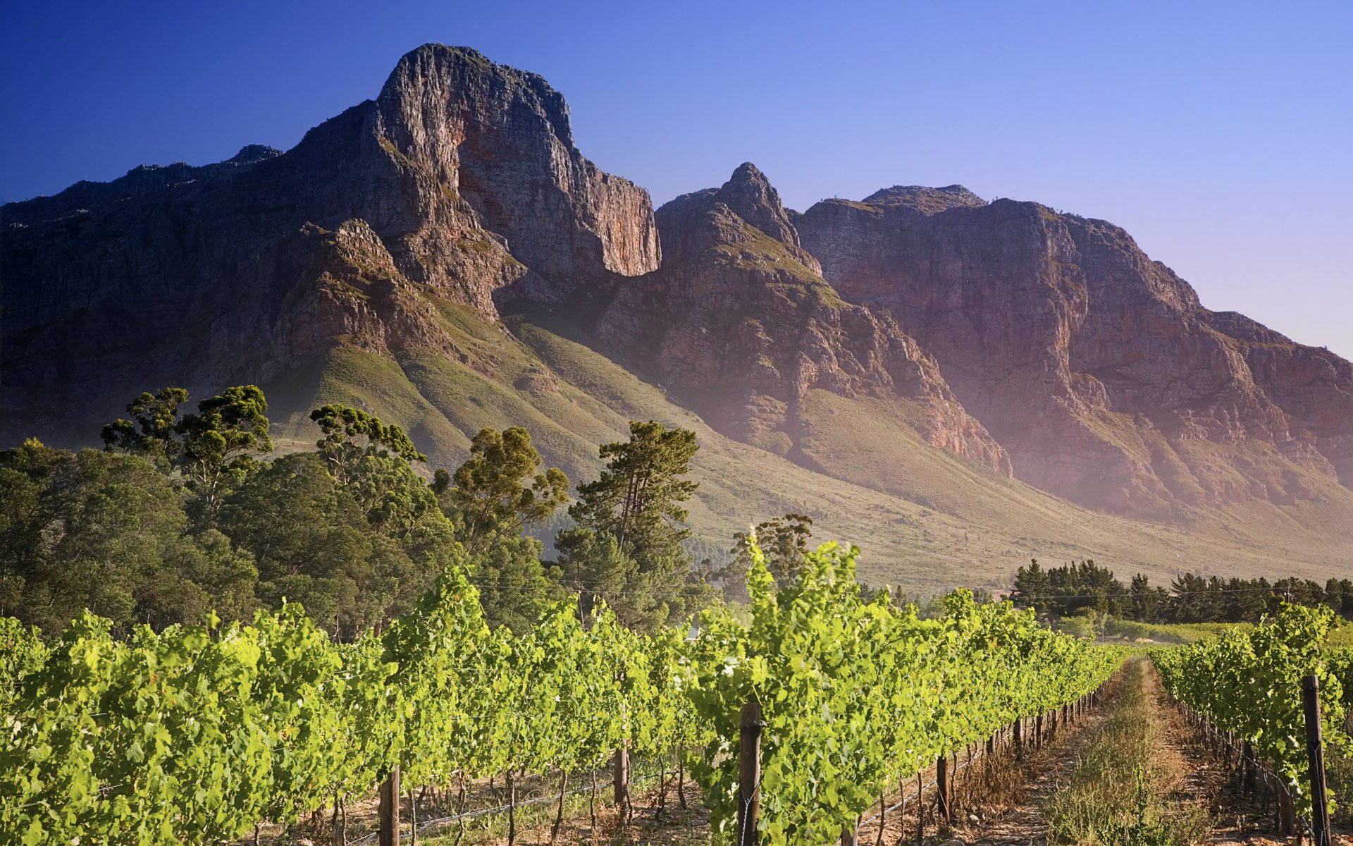 mountains vineyard the sky road the fence summer leaves trees gra