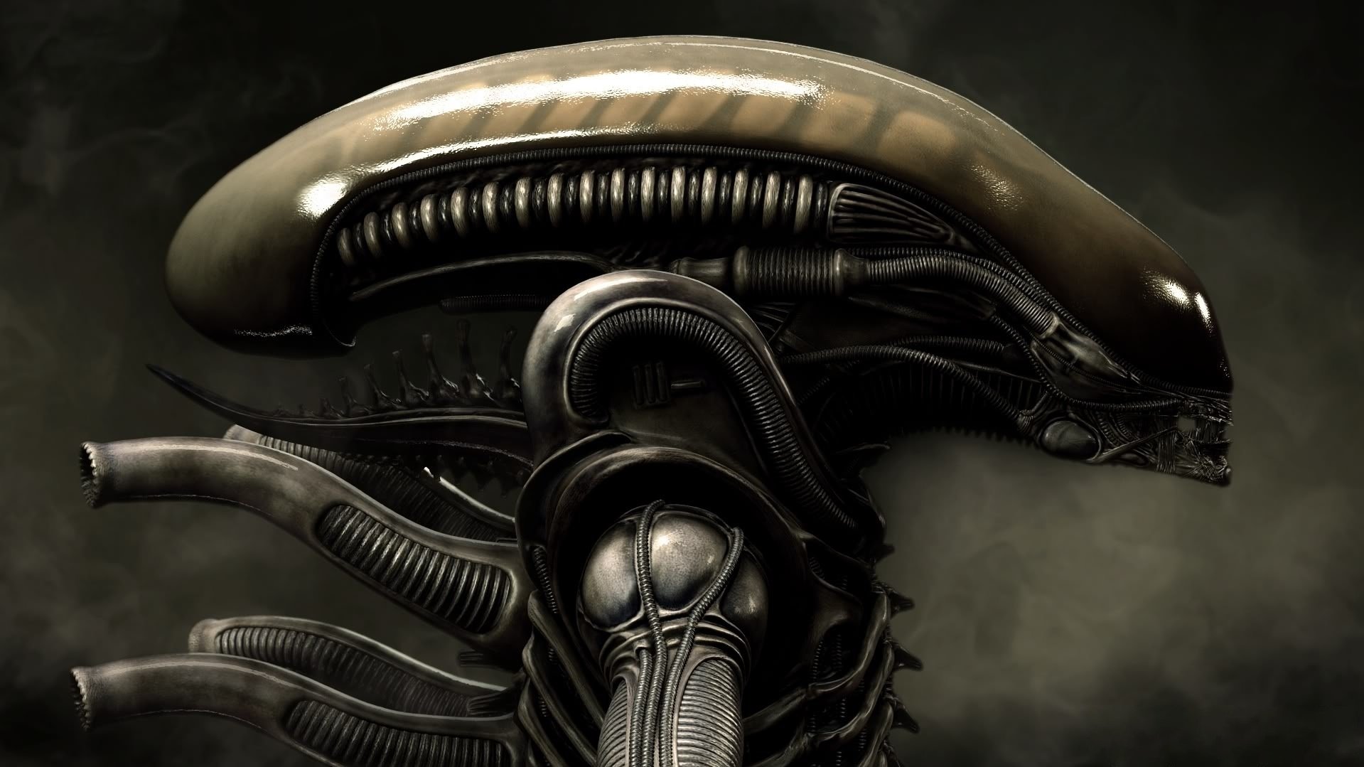 alien alien xenomorph xenomorph weyland-yutani sulaco lv-426 ripley movies science fiction cinema