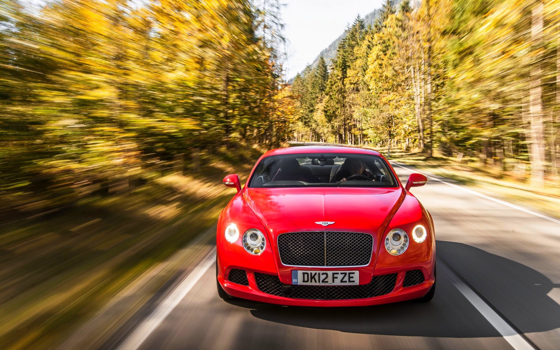 bentley continental gt car front machine red hood forest in motion light