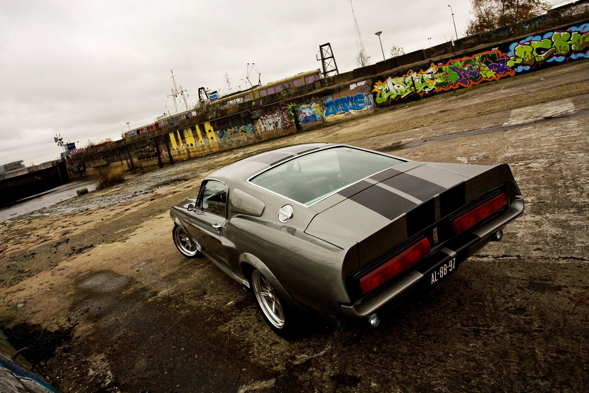 ford shelby eleanor gt 500 argento indietro nuvola molo