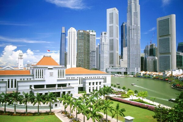 Palm trees on the background of Singapore skyscrapers