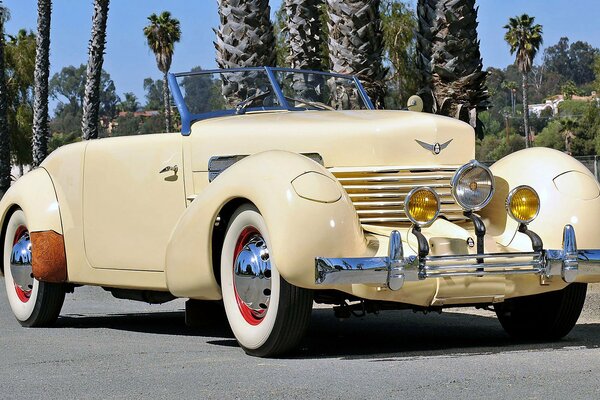 Retro convertible on the background of nature and palm trees