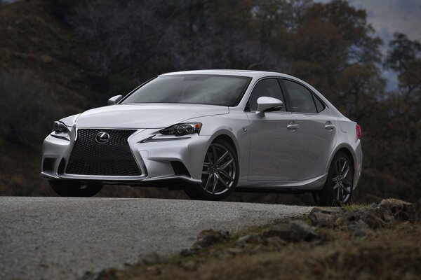 Beautiful Lexus on the background of nature with a brutal radiator grille