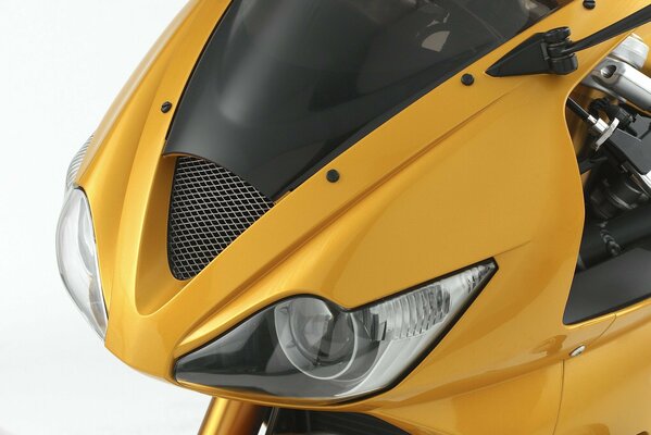 Triuph daytona 675 gold color