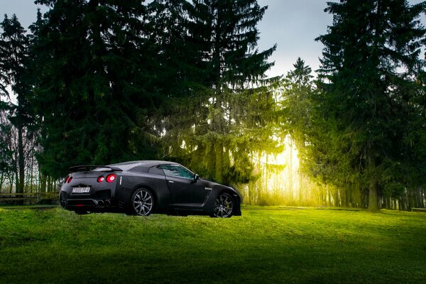 Nero opaco Giapponese auto sportiva parcheggiata nel bosco