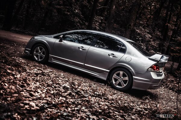 Grayhonda civic and autumn foliage