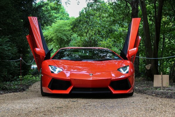 Orange-roter Lamborghini Aventador mit offenen Türen