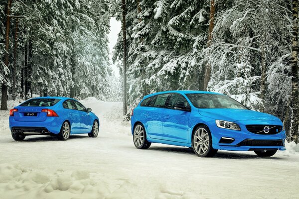 Two blue cars in a snowy forest