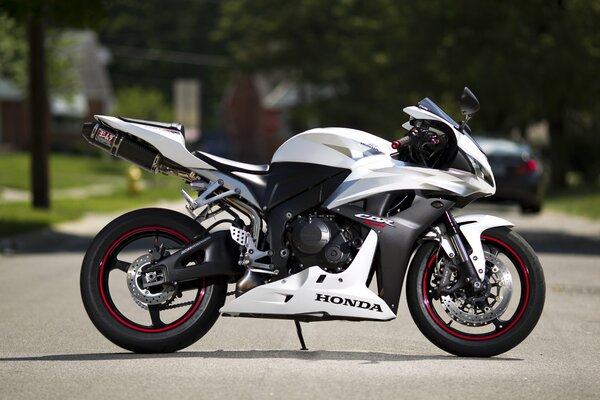 White Honda motorcycle on a background of green foliage