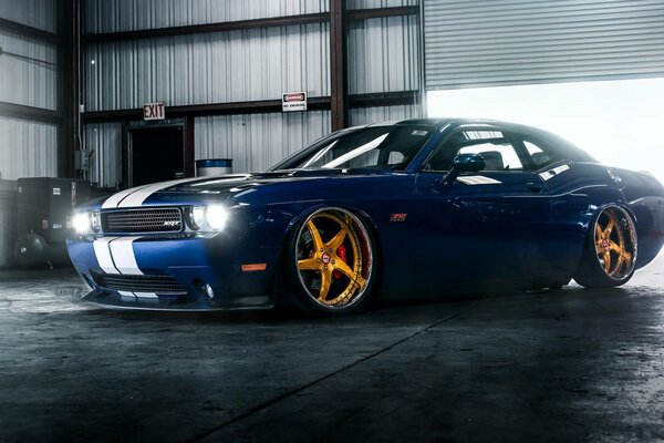 Low Challenger Hellcat with Gold Discs