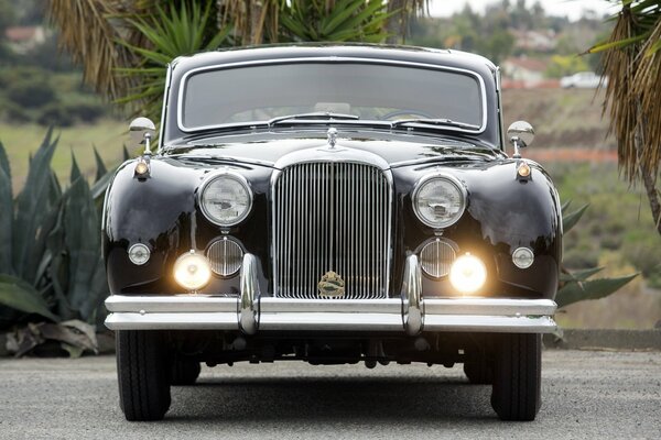 Voiture classique Premium sur fond de palmiers