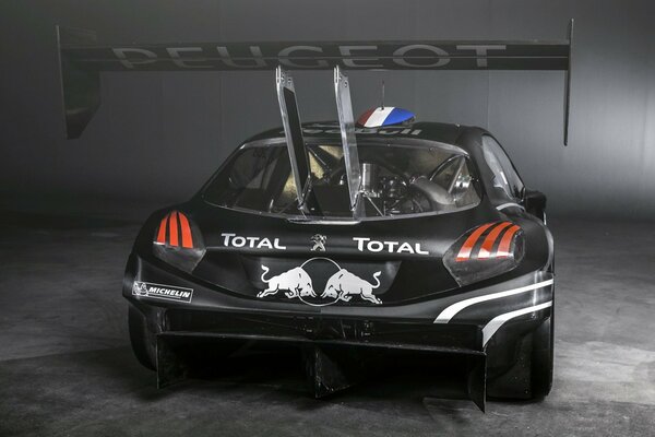 Peugeot Pais Peak wing