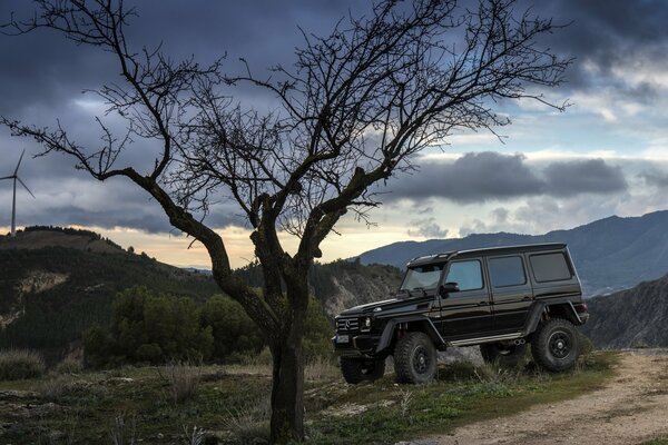 Gelik is black in brabus body kits near a tree