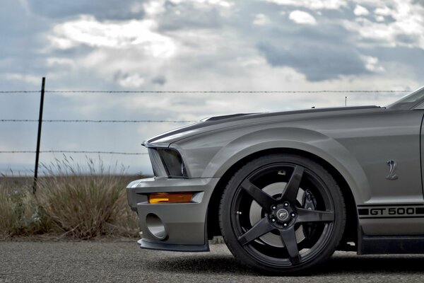 Silver Ford Mustang in nature