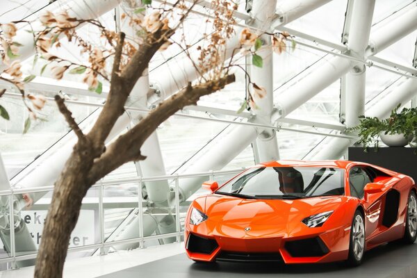 Voiture orange Lamborghini aventador