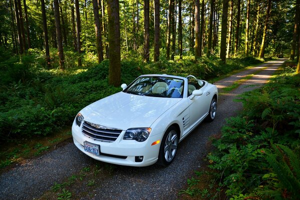 White Chrysler convertible on a forest road