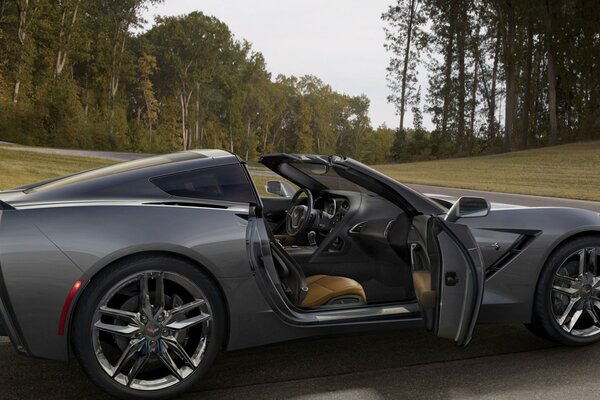 Chevrolet Corvette supercar parfait