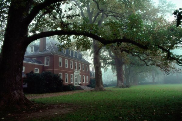 A house with a lawn among the trees