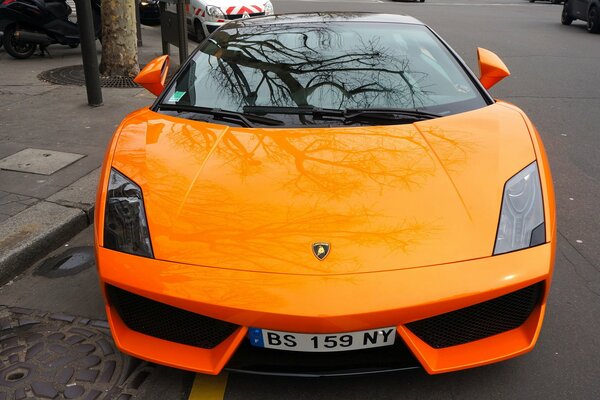 Supercar orange brillant Lamborghini Gallardo