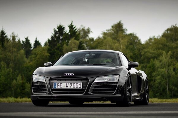 The road on the background of the turf on which the Audi stands