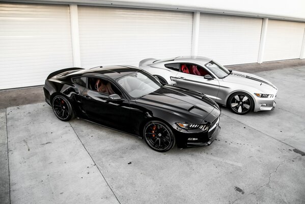 Deux Mustangs sportifs comme le Yin-Yang