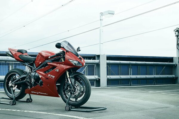 Red triumph daytona 675 motorcycle