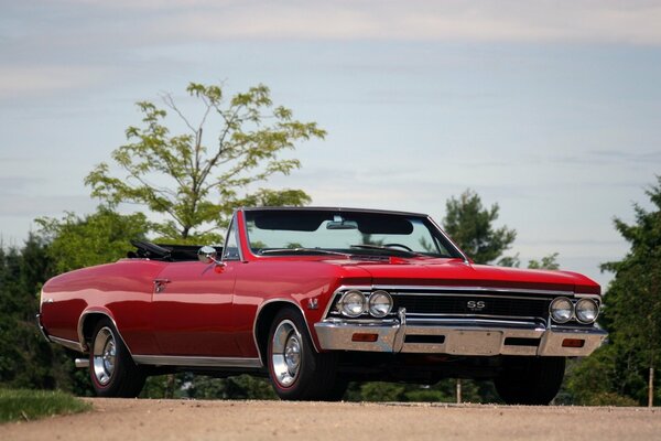 Red Chevrolet on the background of a green forest