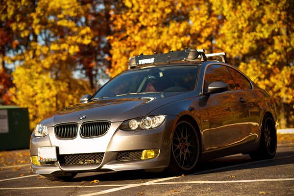 Auto parcheggiata vicino agli alberi gialli