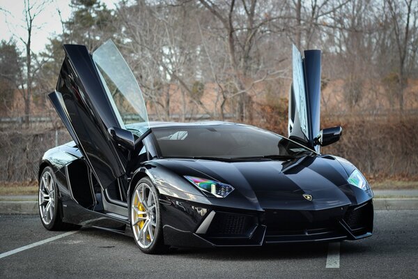 Black Lamborghini on grey asphalt