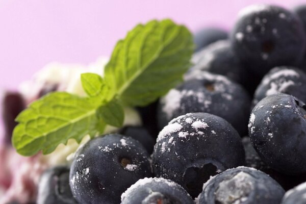 Heidelbeeren mit Puderzucker in einer Makroaufnahme