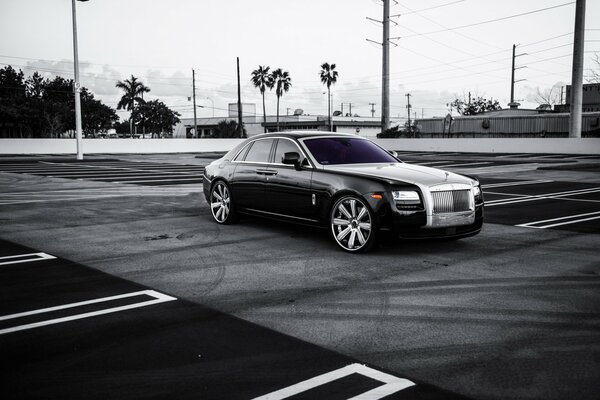 Rolls Royce en blanco y negro en un estacionamiento con palmeras