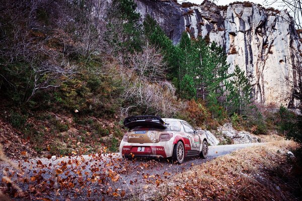 Durchforsten der Waldflächen des citroen ds3