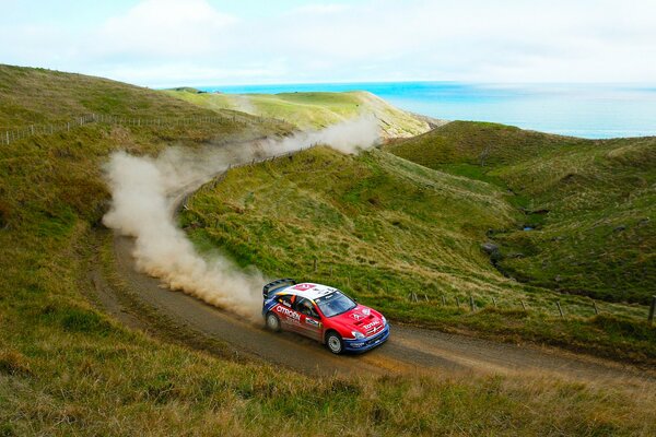 Rally de coches. Un coche cuesta abajo a una velocidad vertiginosa