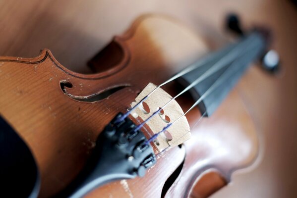 A real brown beautiful violin