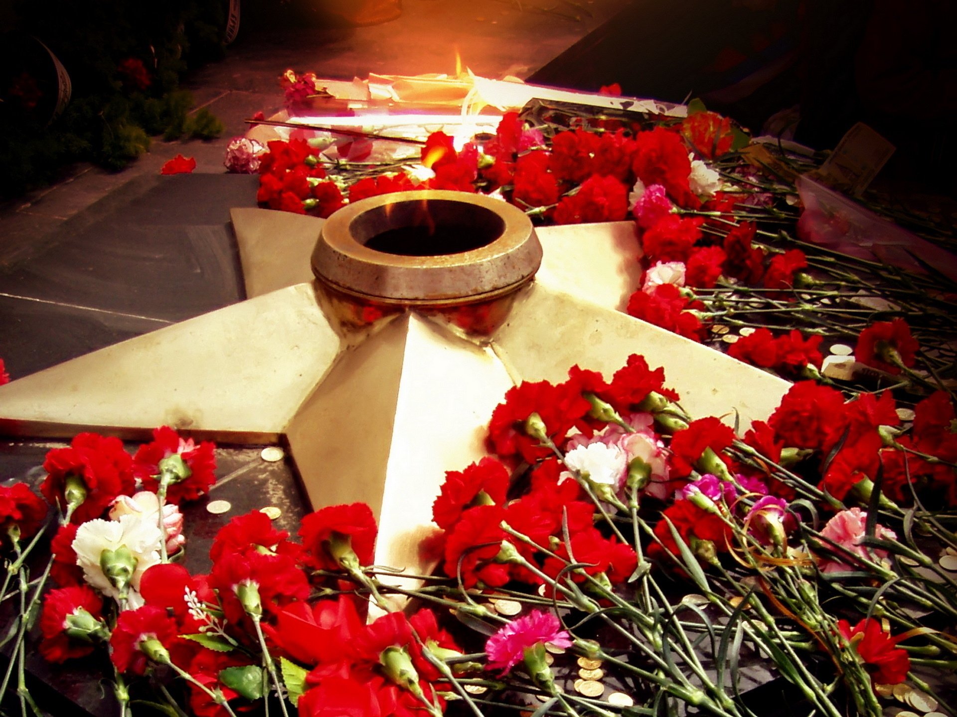 blumen tag des sieges ewiges feuer 9. mai stern nelken