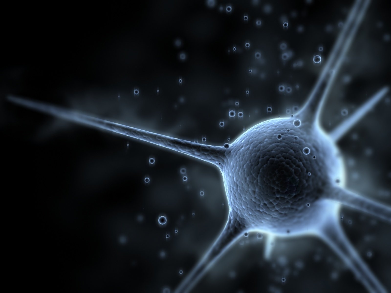 neuron cell brain signal electricity environment macro