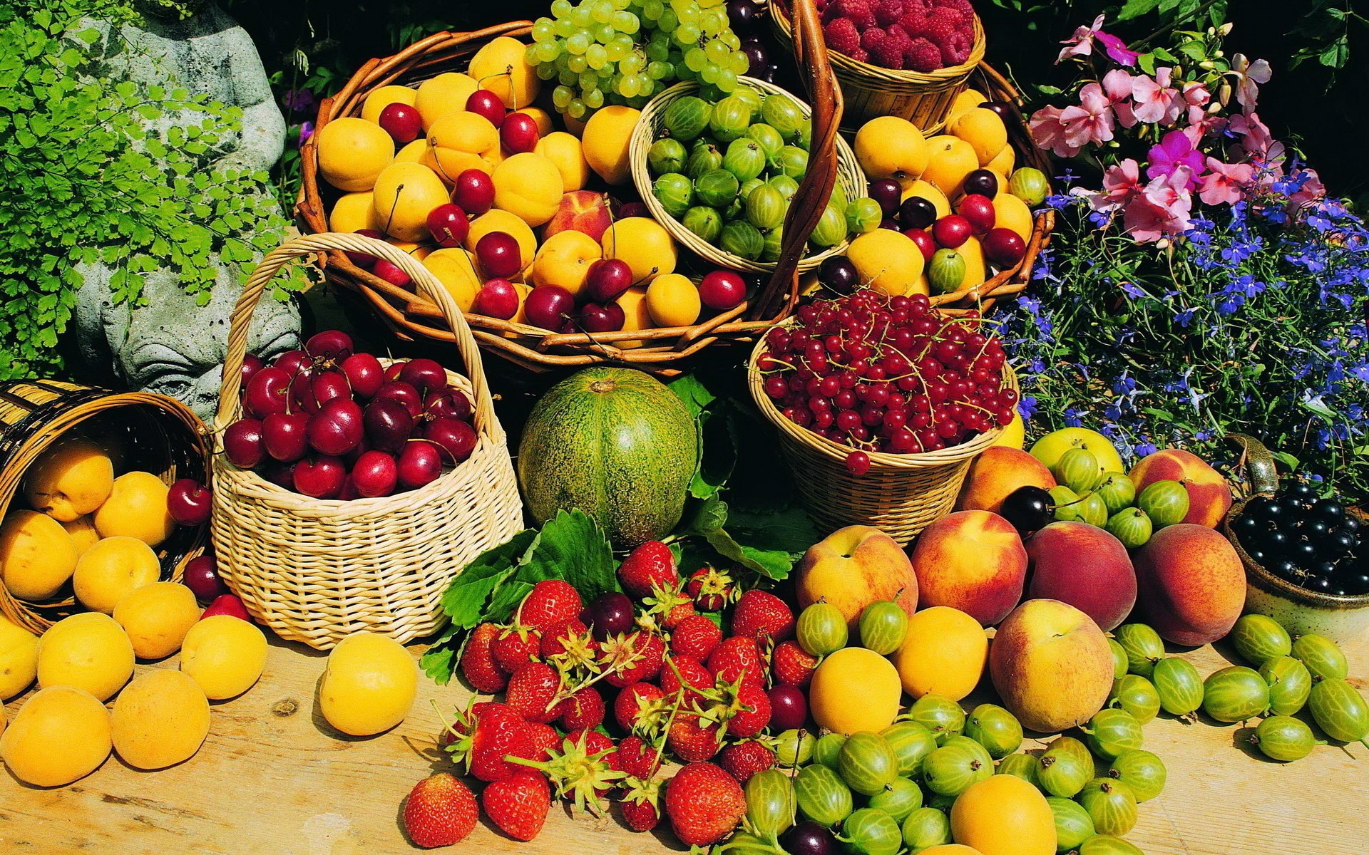 fleurs baies fruits fraises groseilles groseilles à maquereau abricots cerises pêches framboises panier verdure été melon table fruits