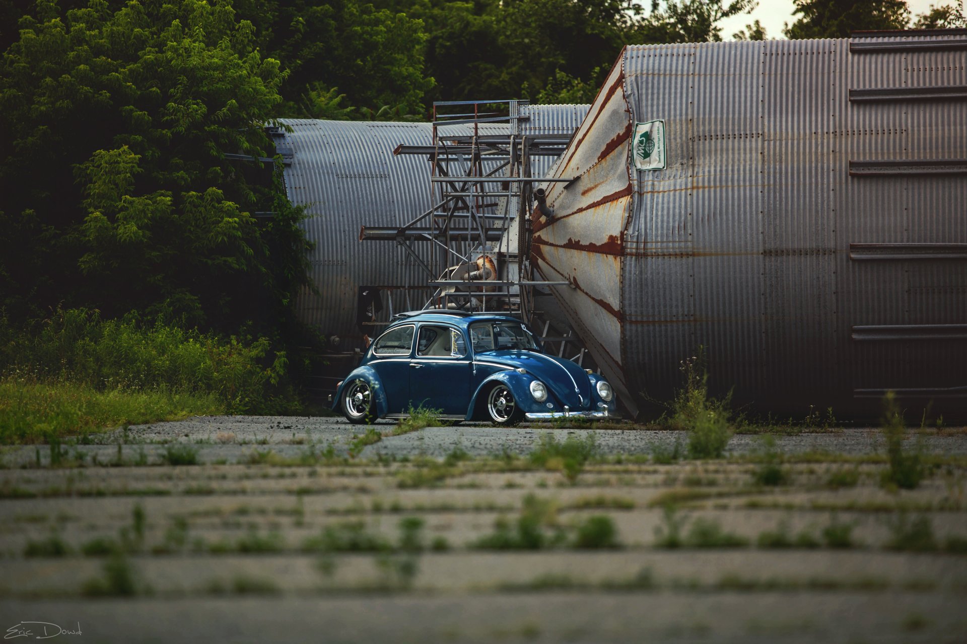 volkswagen vw жук